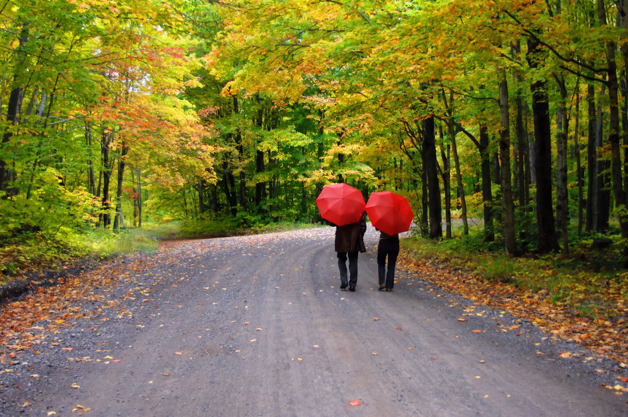 Couple beneath Red Umbrellas