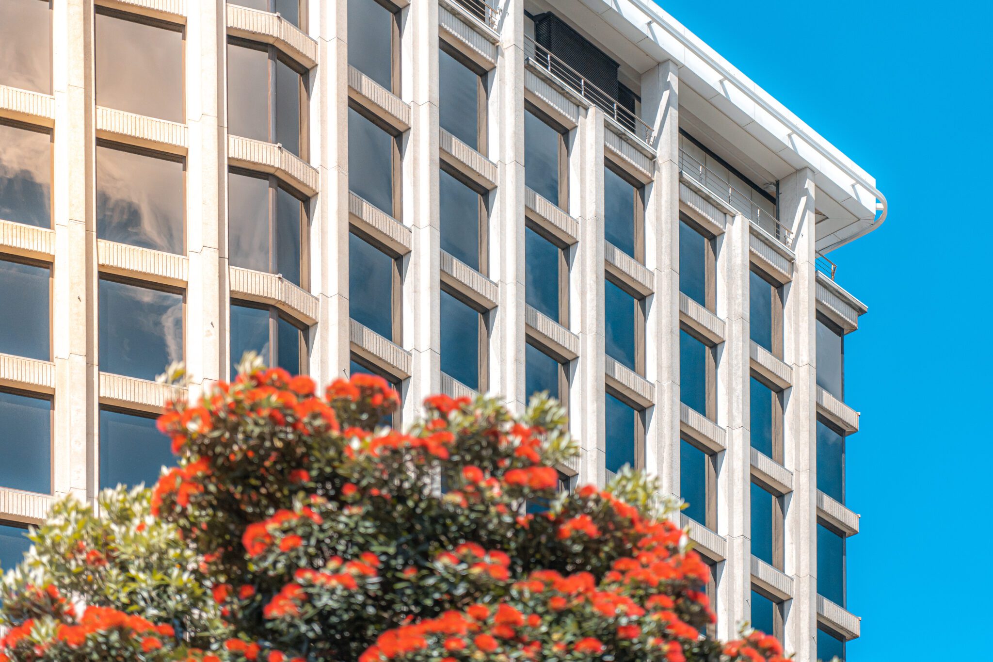 Wellington Office Building. Close up of the office building in Wellington, New Zealand