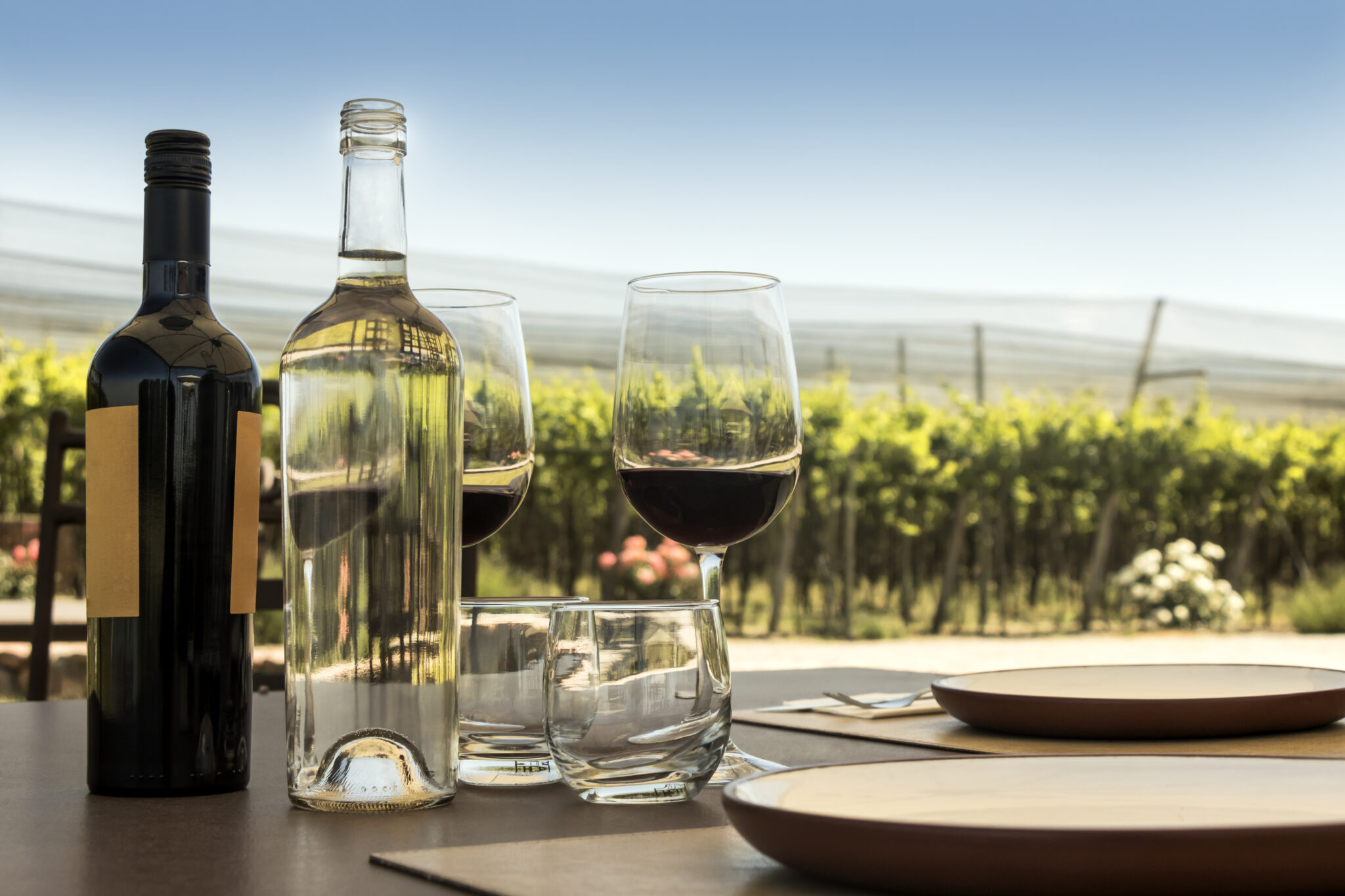 Know-how series: Geographical Indications