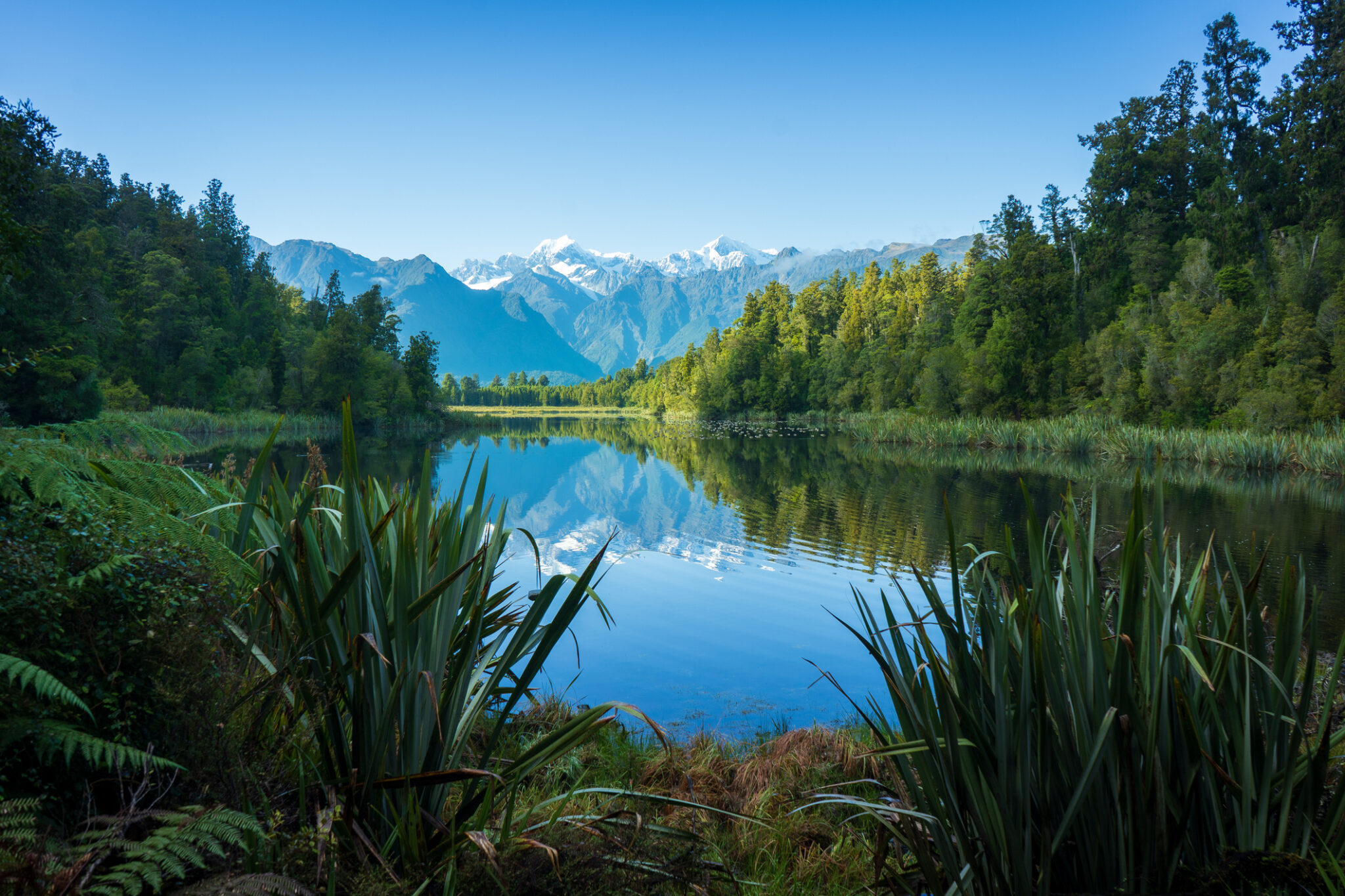 Reflection in Lake Matheson, Fox Glacier, New Zealand