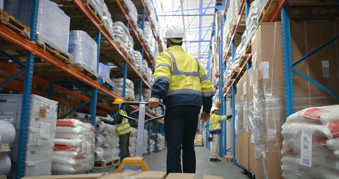 Man, trolley and boxes in warehouse of distribution services, storage management and logistics. Back, male person and moving packages for supply chain, stock delivery and inventory loader of industry
