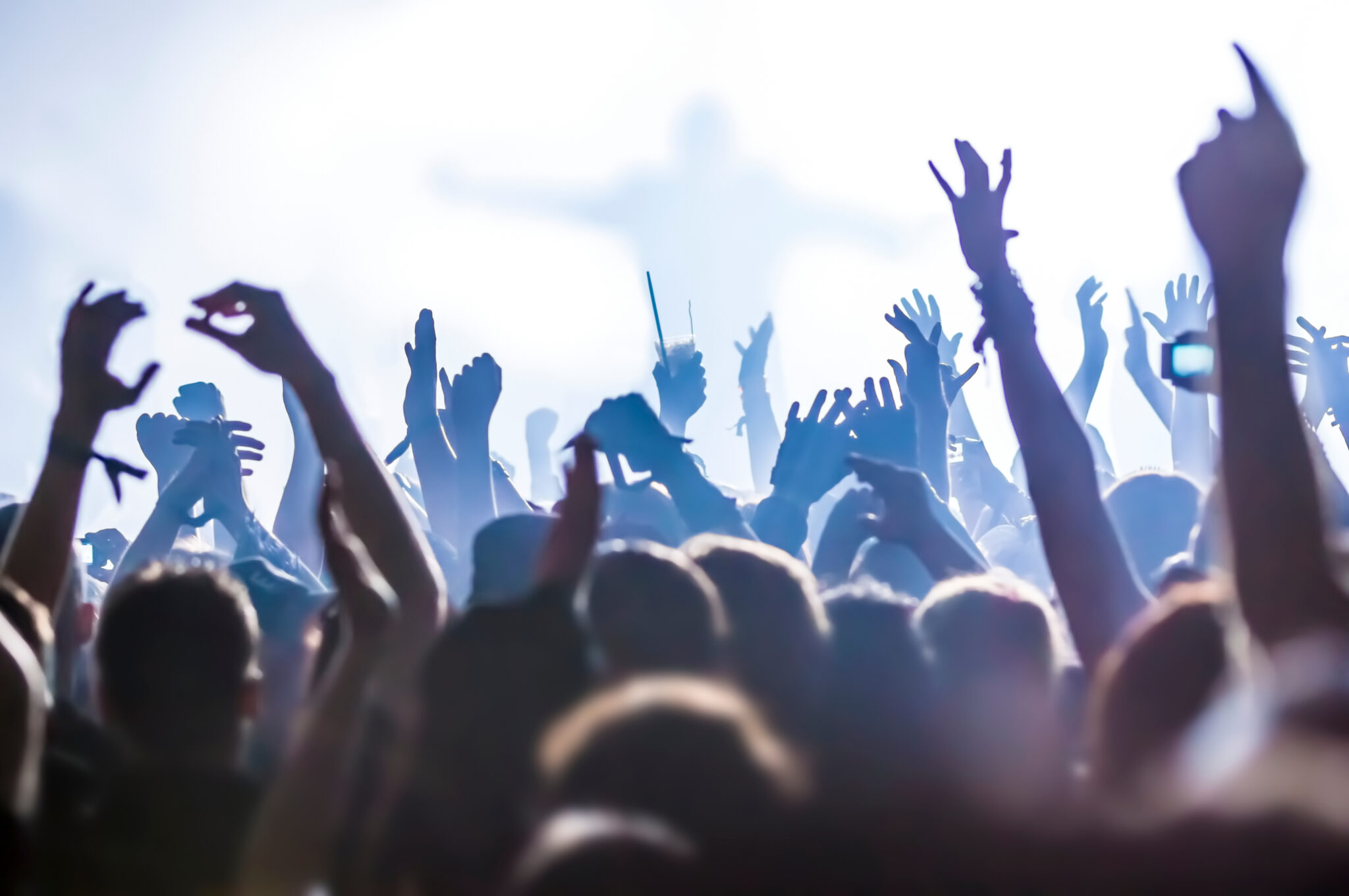 Crowd At Music Concert In Hall